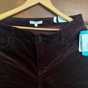 Wine colored STS Blue corduroy pants